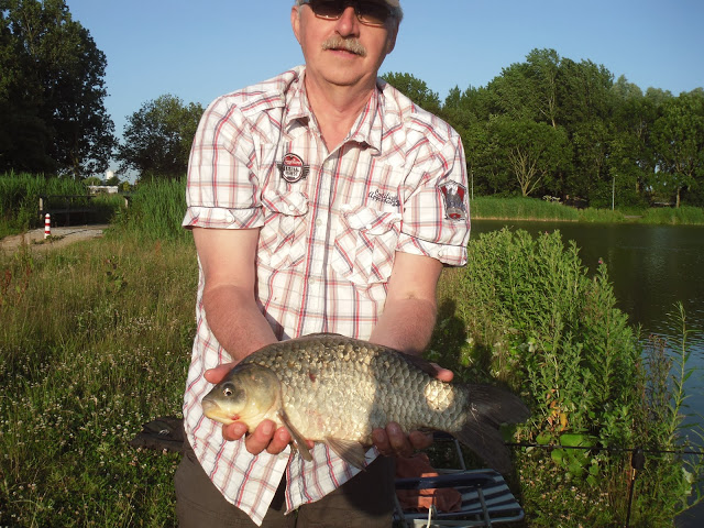 Kroeskarper door Gerrit