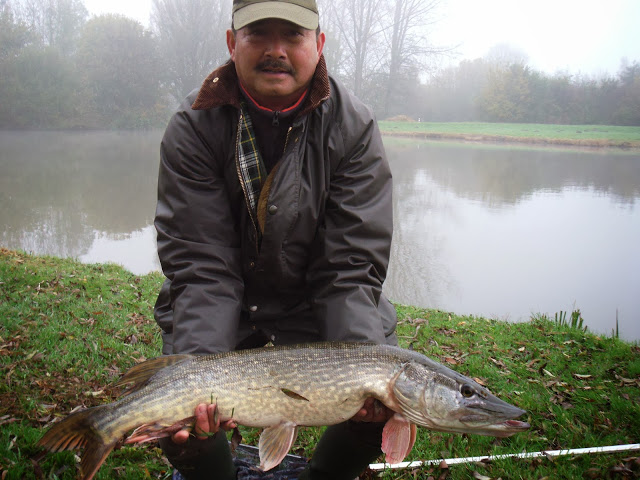 Snoek door Jeffrey